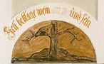 Zur Blätterversion
