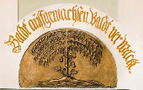 Zur Blätterversion