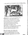 Zur Blätterversion