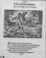 Zur Blätterversion