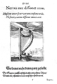 Zur Blätterversion
