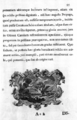 Zur Blätterversion